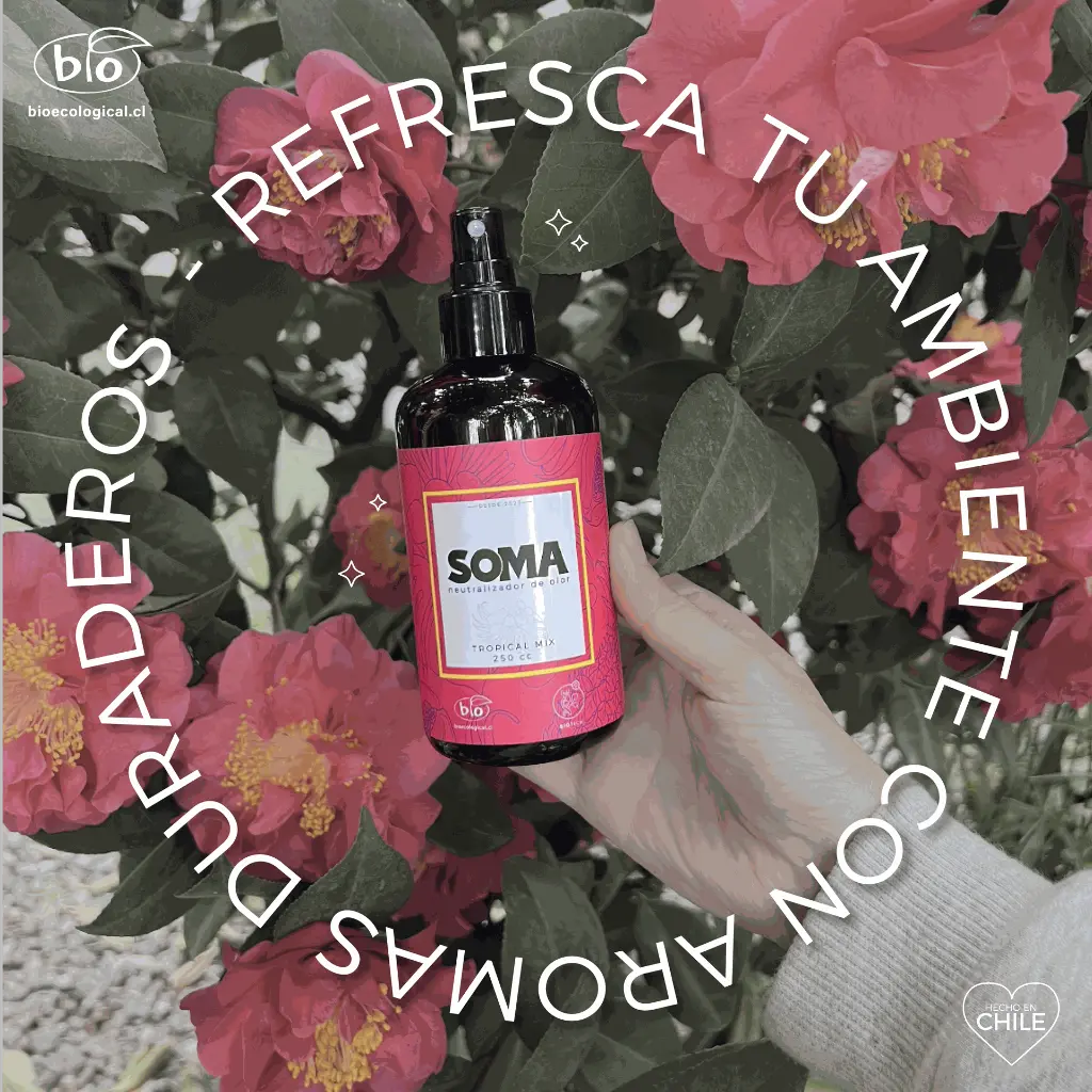 publicidad soma-02.webp