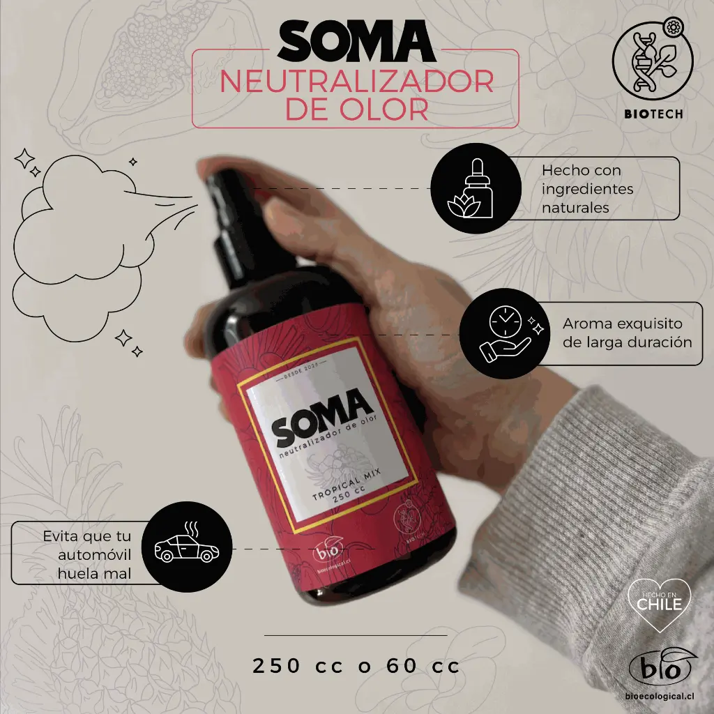 publicidad soma_Mesa de trabajo 1.webp