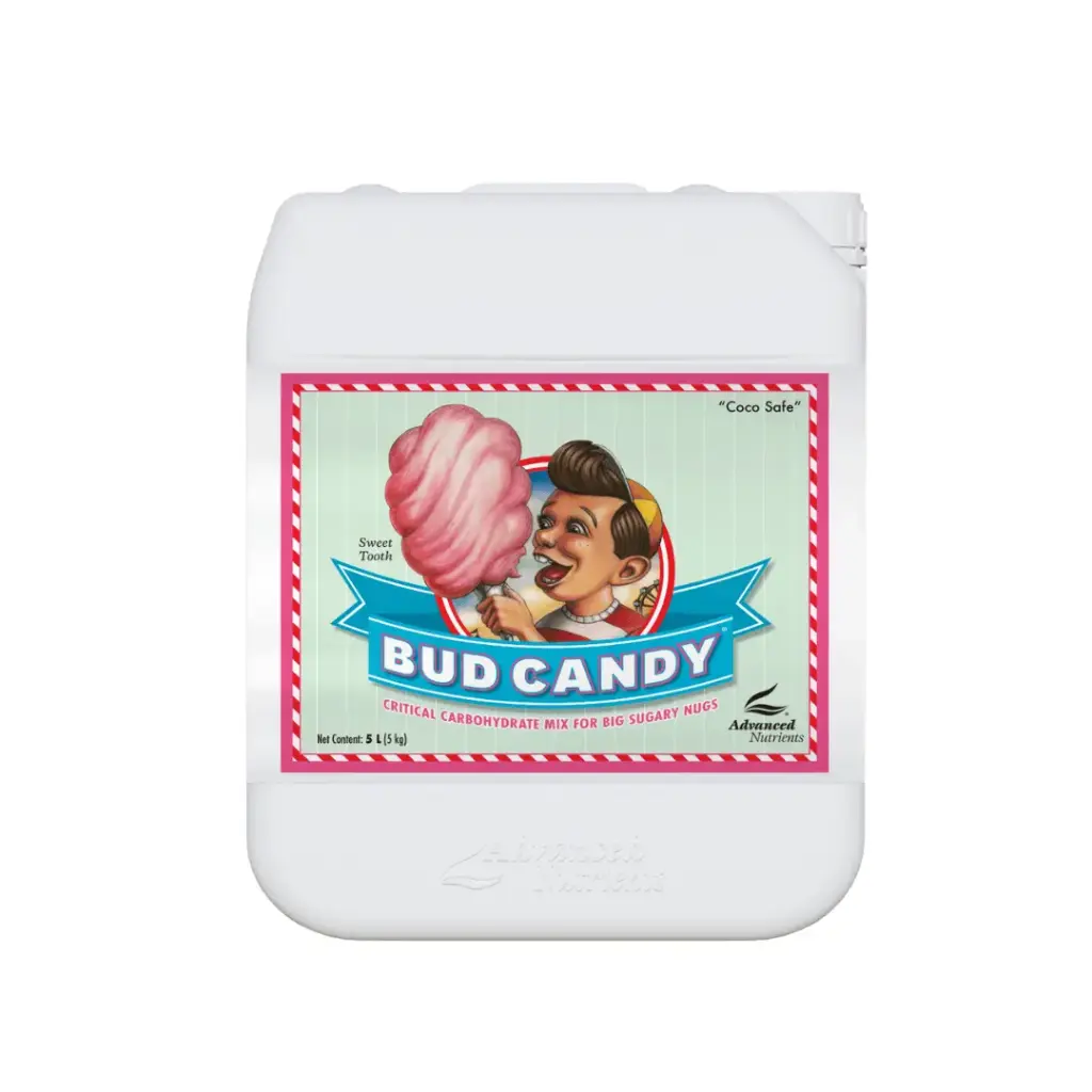 BUD CANDY 5L