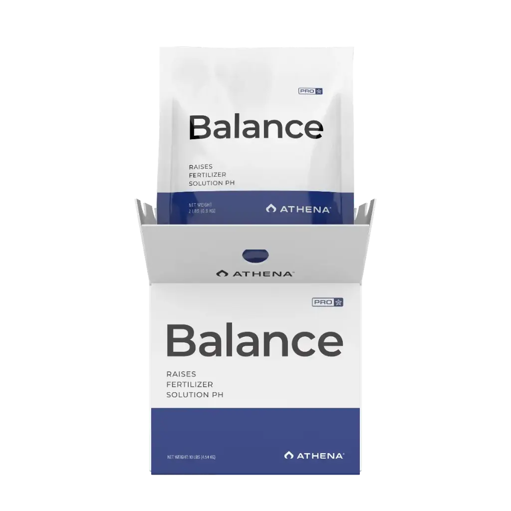 ATHENA  PRO BALANCE 10 LB