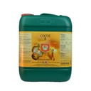 COCOS A + B HnG 10L