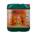 SOIL A + B HnG 10L