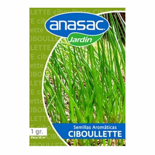 [1500294] SEM CIBOULLETTE (1 GR)