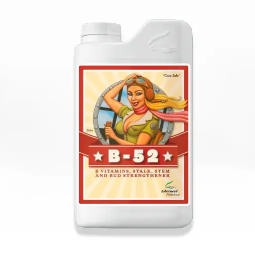 [2100-14EU] B-52 1L