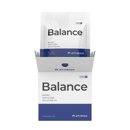 [850038693602] ATHENA  PRO BALANCE 10 LB
