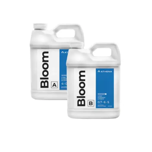 ATHENA BLOOM A+B 1 GAL